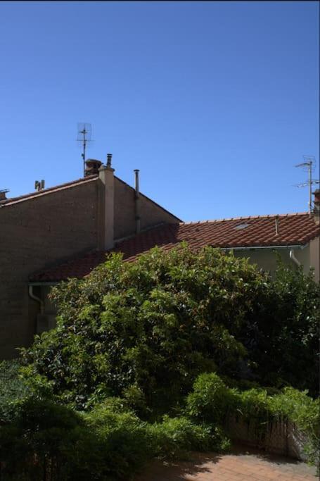 La Jungle Urbaine Avec Garage Prive & Climatisation Apartment Perpignan Exterior photo